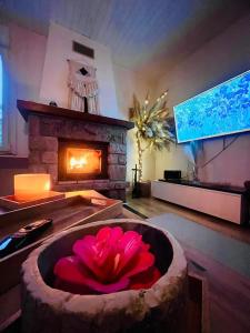 Maisons de vacances Jolie maison, idealement situee : photos des chambres