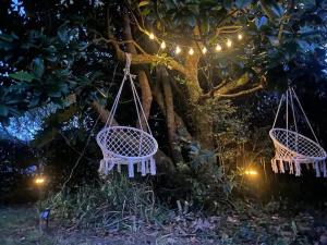 Maisons de vacances Jolie maison, idealement situee : photos des chambres