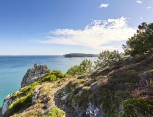 Maisons de vacances Jolie maison, idealement situee : photos des chambres