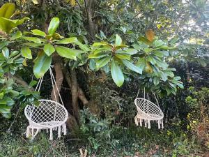 Maisons de vacances Jolie maison, idealement situee : photos des chambres