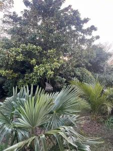 Maisons de vacances Jolie maison, idealement situee : photos des chambres