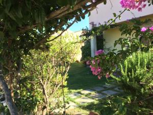 live the dream in vignola bay img11