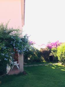 live the dream in vignola bay img16