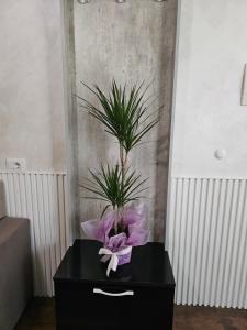 Doris Vollga Apartment by Bohem Rentals