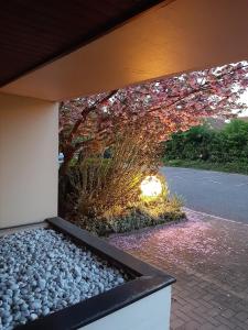 Appartements Beautiful Studio - Geneva Airport : photos des chambres