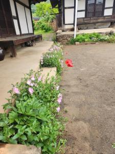 Hanok Soeun House