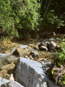 Appartements Sejour en pleine nature : photos des chambres