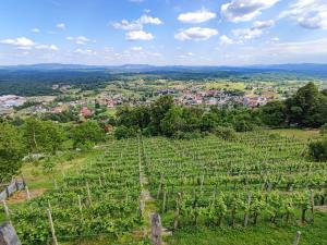 Zidanica-Vineyard Cottage Jakše 