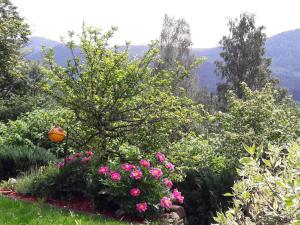Harlachberg Blick 1