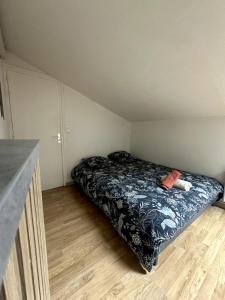 T3 Hyper centre Place des Vosges