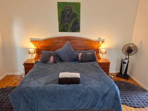 Leighs home with dogs