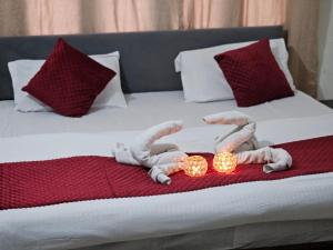 Hotel exotic