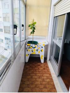 Lemon Tree House 2nd Floor - NO LIFT - Stairway 2 Andar sem elevador