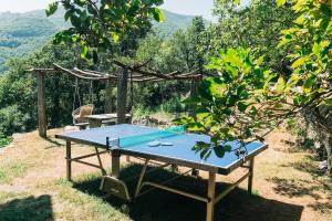 Wild Valley Essenza in the Onsernone Valley