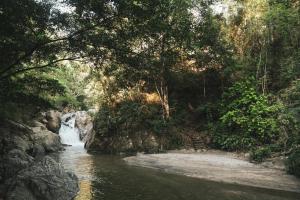 Hotel Hukumeizi Minca