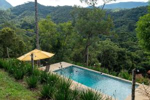 Meu Limão Meu Limoeiro