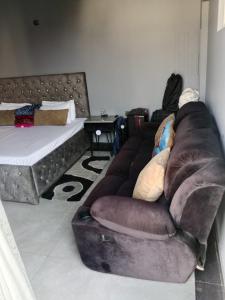 Luxury apartment