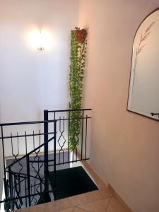 Tahiti House Stagnone