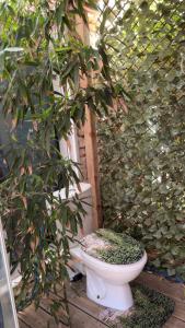 Sejours a la campagne Roulotte individuelle dans le maquis Corse : photos des chambres