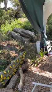 Sejours a la campagne Roulotte individuelle dans le maquis Corse : photos des chambres