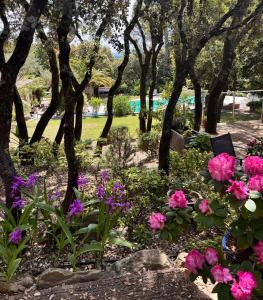 B&B / Chambres d'hotes Santolines en Provence : photos des chambres