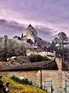 Villas Domaine du Fraysse Chantegrel le charme a l'etat pur : photos des chambres