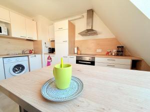 Appartements Le Duplex des Tulipes - Parking included - Haguenau : photos des chambres