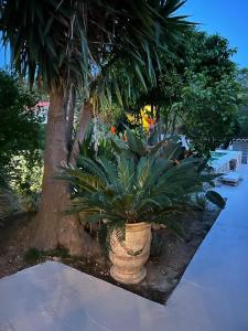 Villas Charming house with pool, sea view 4 bedrooms 2 bathrooms : Villa