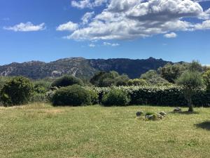 Maison proche Porto Vecchio