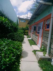 Cis Mara Acacia Motel