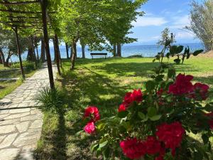 Ξενωνας Νιμπη