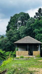 Escape Pod Himalayan Campsite