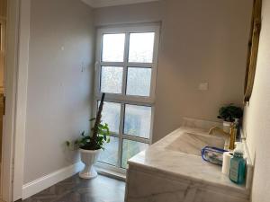 استديو رفاهية المدينة 3