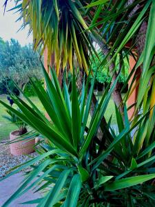 Superbe villa 10 personnes avec piscine