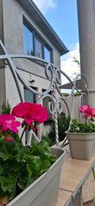 Lux GUEST HOUSЕ МUKACHEVO