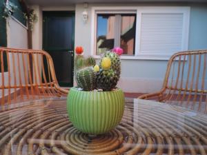 Rosa dei venti airport house