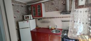 Apartment Observatornyi