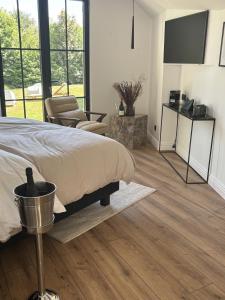 Love hotels L-Ecrin de la Sapiniere : photos des chambres