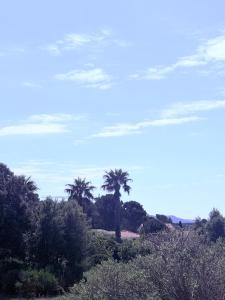 Maisons de vacances Villa le Castellet et proche circuit Paul-Ricard a 20 mn de la Mer : photos des chambres
