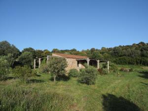Maisons de vacances Casa Lysandra : photos des chambres