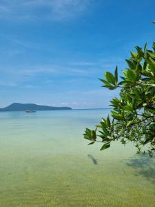 Mangrove Beach Bungalows