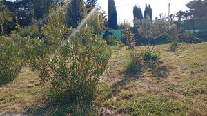 Maisons de vacances Villa Aubagne Gemenos : photos des chambres