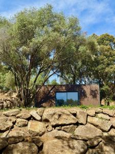 Lodges Lodge sous les oliviers : photos des chambres