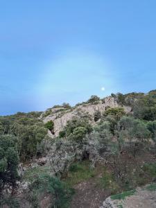 Lodges Lodge sous les oliviers : Studio