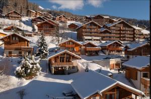 Chalet Peisey-Vallandry - Le Gland dOr - 8p