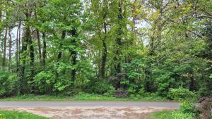 Ferienwohnung Sleep and Stay im Grünen