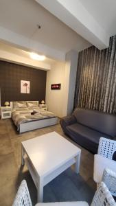 Appartements REPUBLIQUE Centre : Appartement 1 Chambre