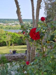 Maisons de vacances Villa, vue panoramique Loire Blois : photos des chambres
