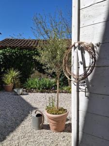 B&B / Chambres d'hotes La Maison Ananda : photos des chambres