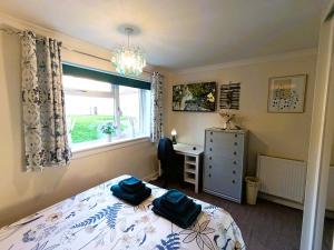 Double room in riverside apartment - B